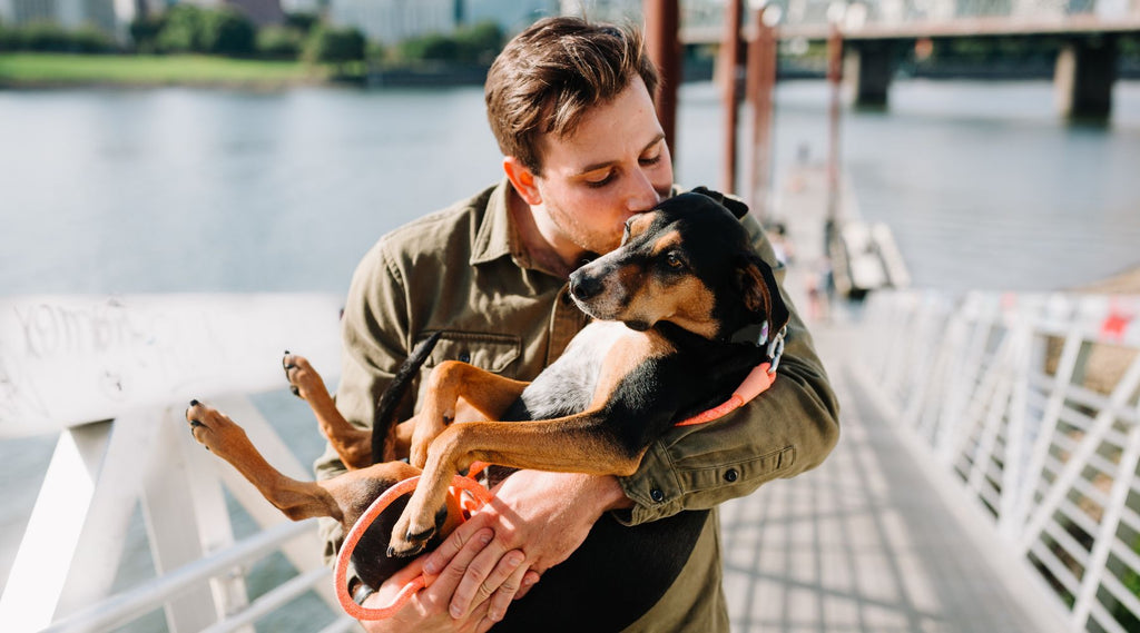 Celebrating Father's Day: Making it Special for Dog Dads