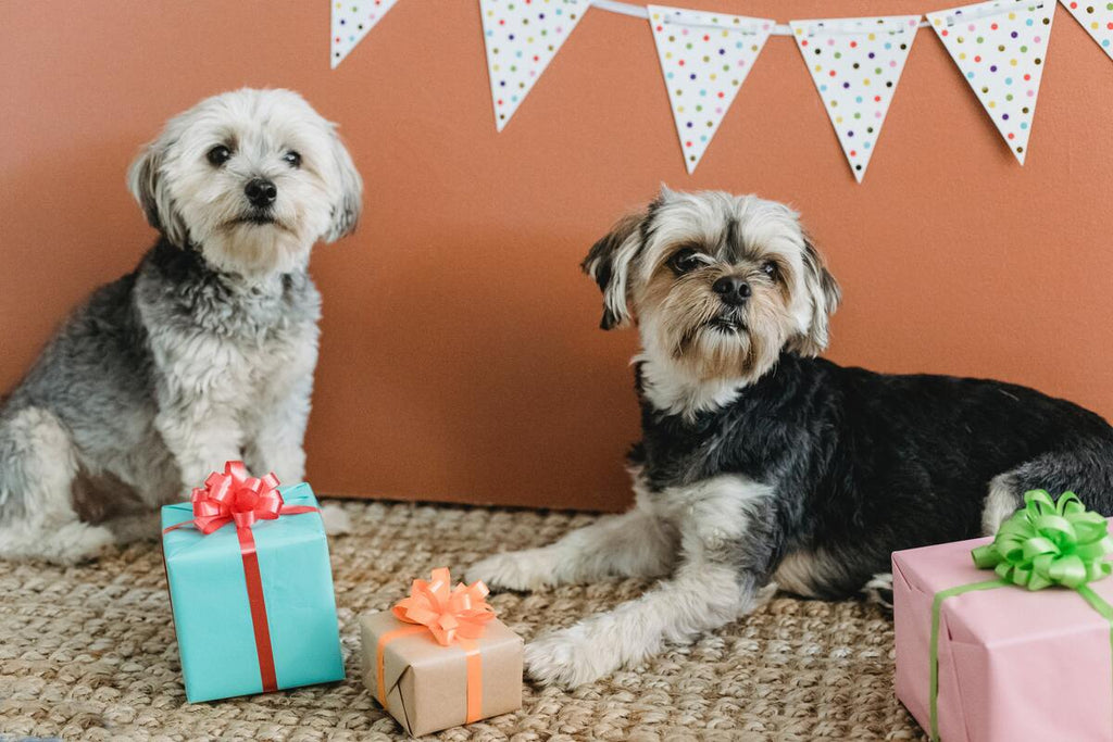 Best personalised gifts for dog lovers in the office