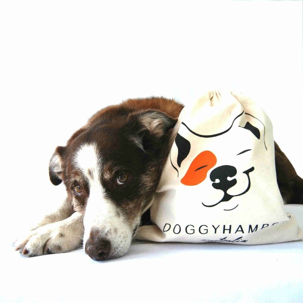 Doggy Hampers custom gift packaging