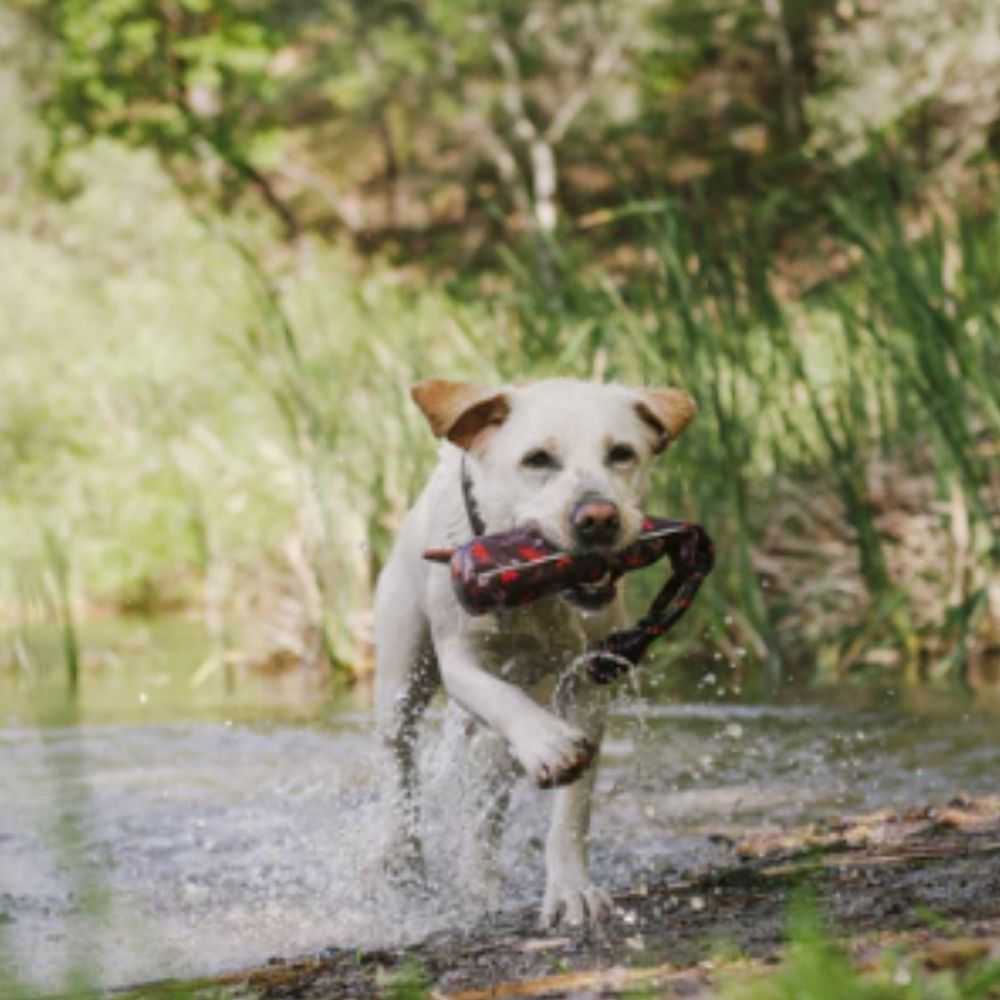 Scout & About Toss and Float Mocha