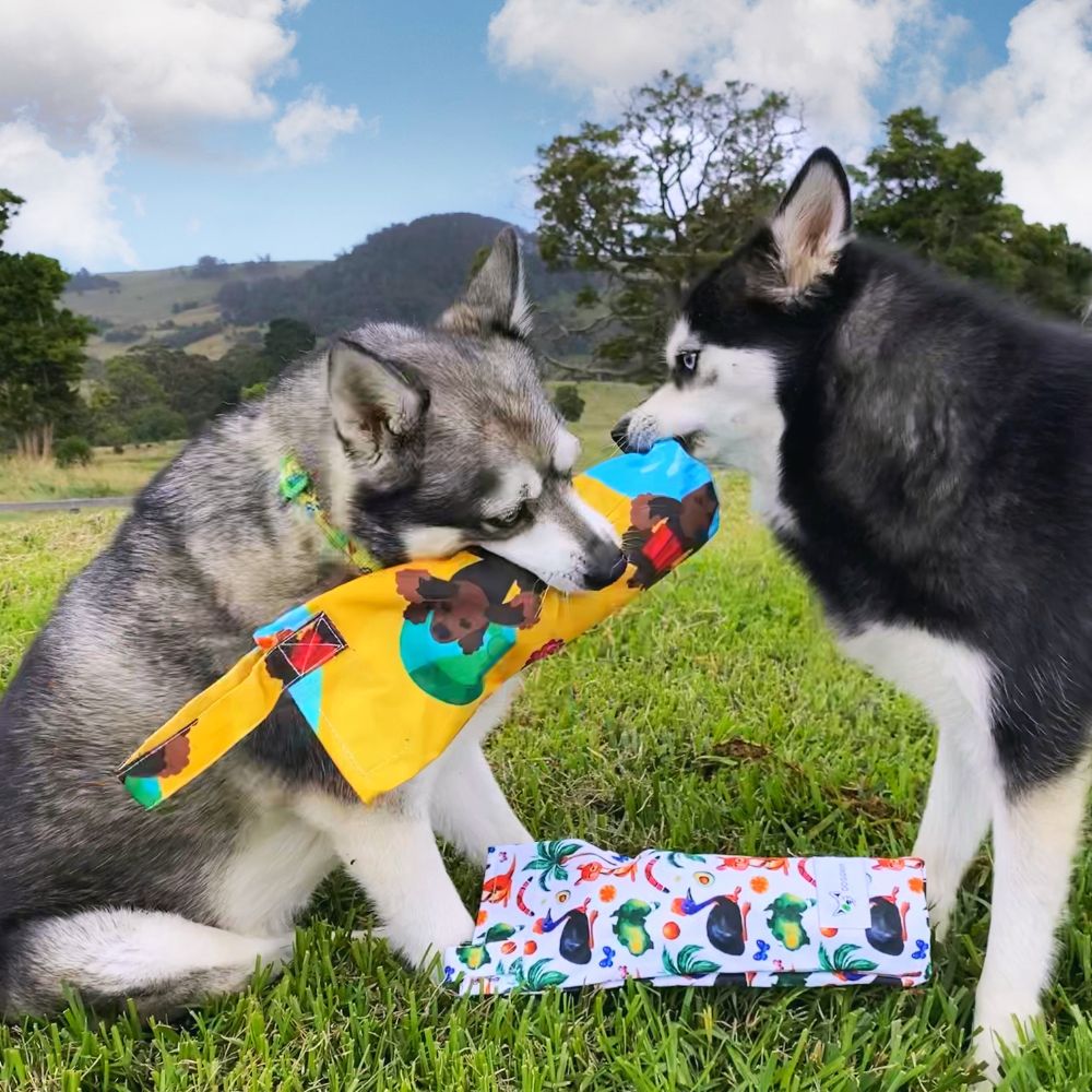 dogs playing with eco friendly dog toy