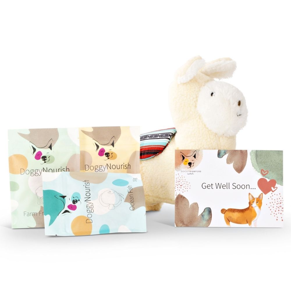 Doggy Hampers dog get well gift, dog gift box