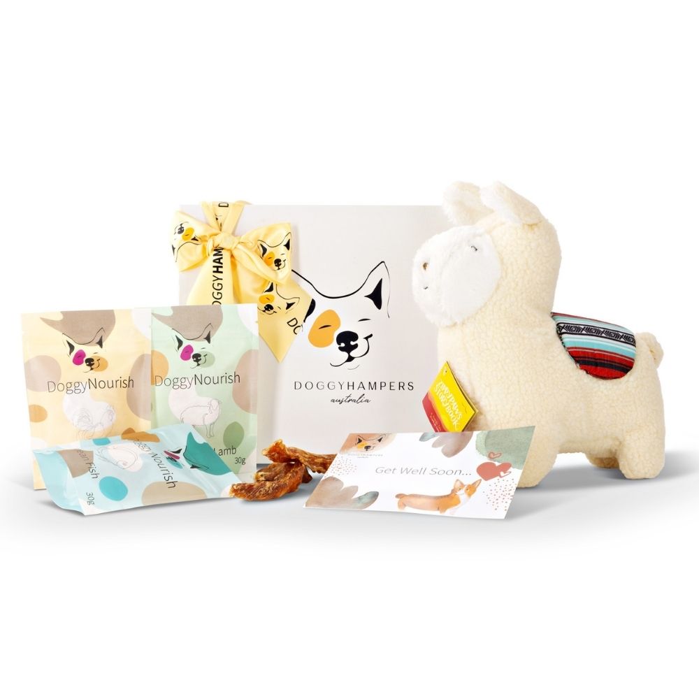 Doggy Hampers dog get well gift, dog gift box
