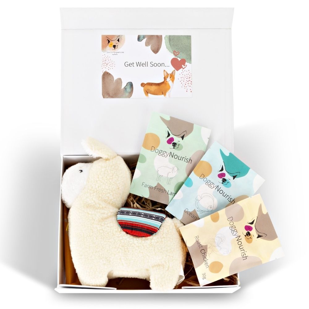 Doggy Hampers dog get well gift dog gift box